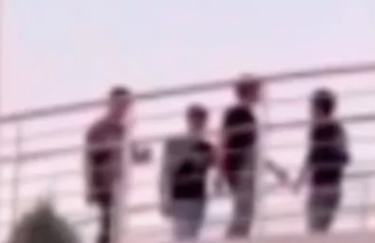 В Ташкенте группа пранкеров шутила над прохожими, пытаясь их скинуть с моста — видео