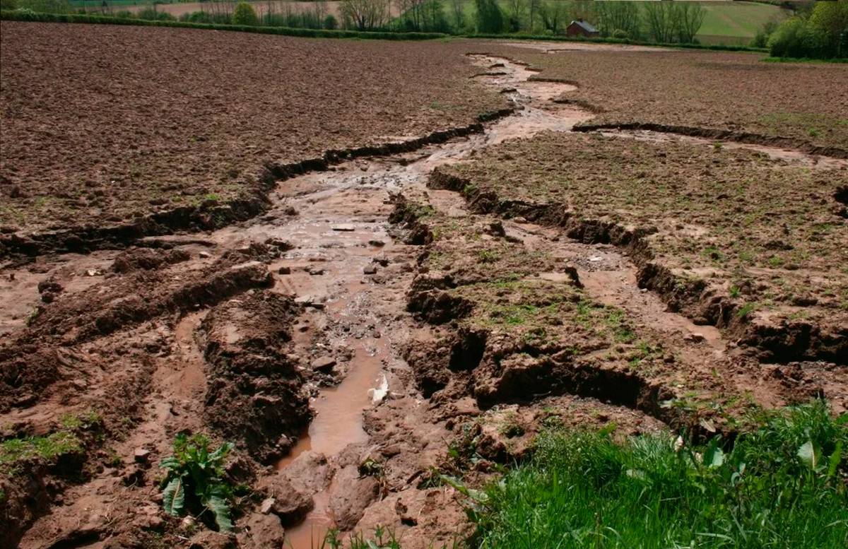 В Узбекистане создали департамент по борьбе с деградацией земель