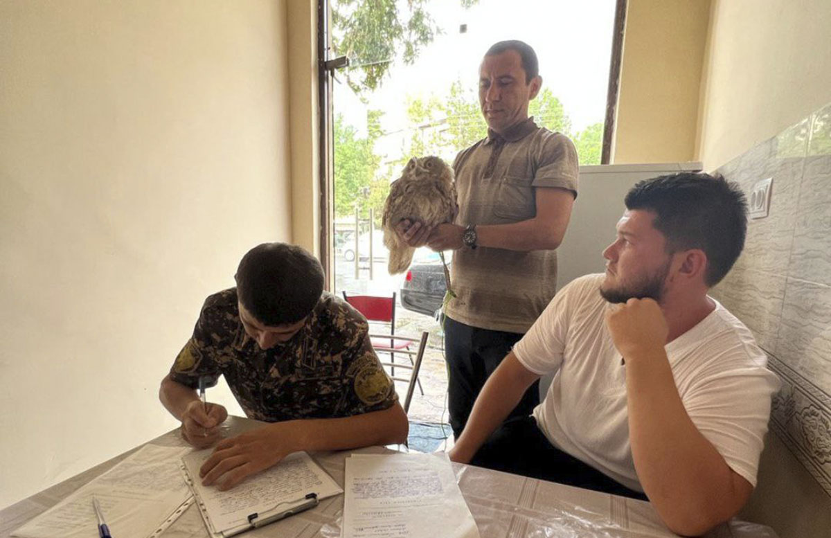 Привязанной птицей в одном из районов Ташкента оказался филин