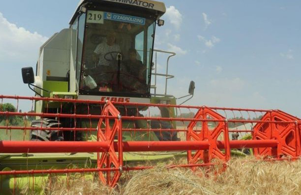 В Узбекистане запретили внепланово требовать зерно у хлеборобов