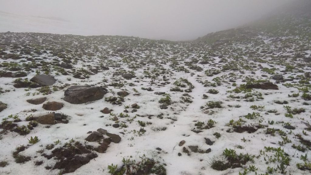Горы Кашкадарьи неожиданно покрыл густой снег — фото