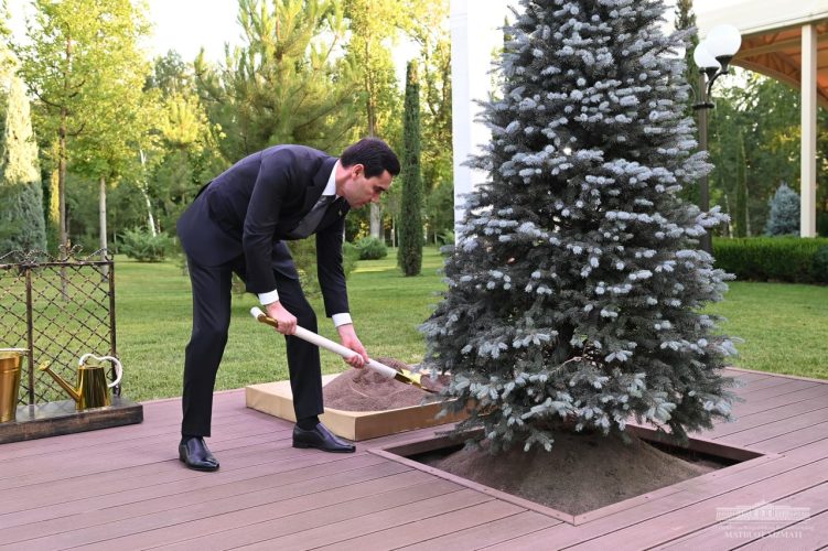 Бердымухамедов посадил дерево на Аллее почетных гостей резиденции президента