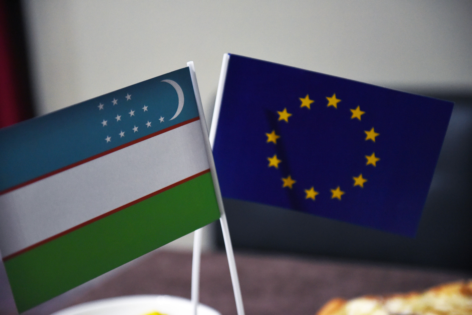 Узбекистан проинформировал ЕС о текущей ситуации в Каракалпакстане