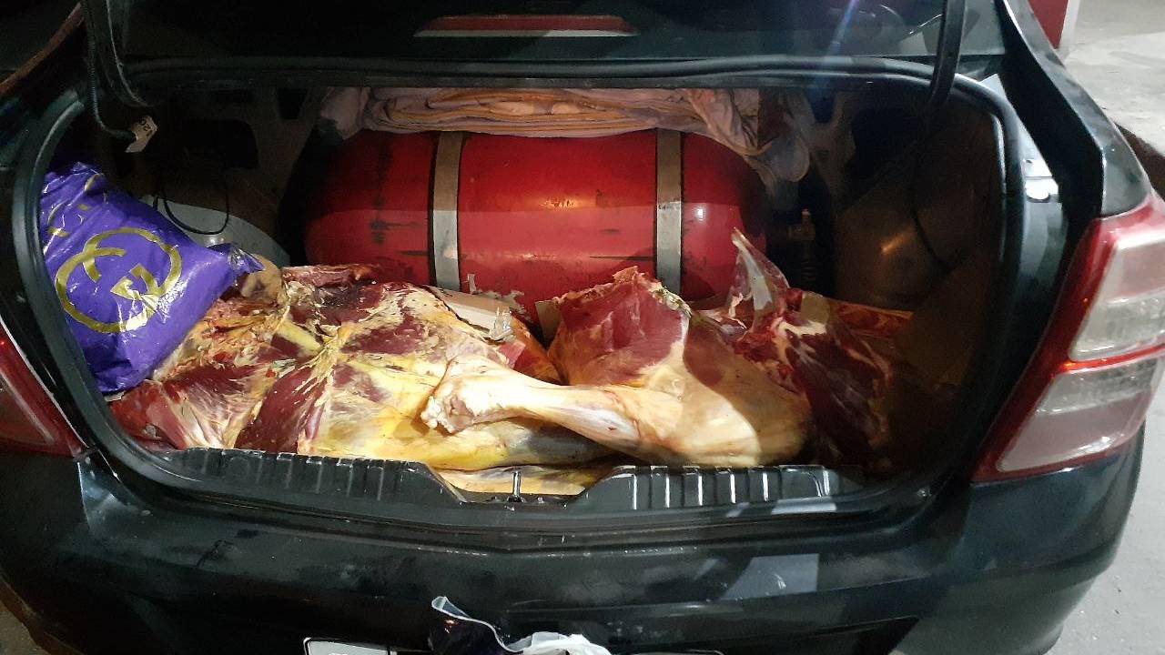 Сотрудники ДПС обезопасили Ташкент от просроченного мяса