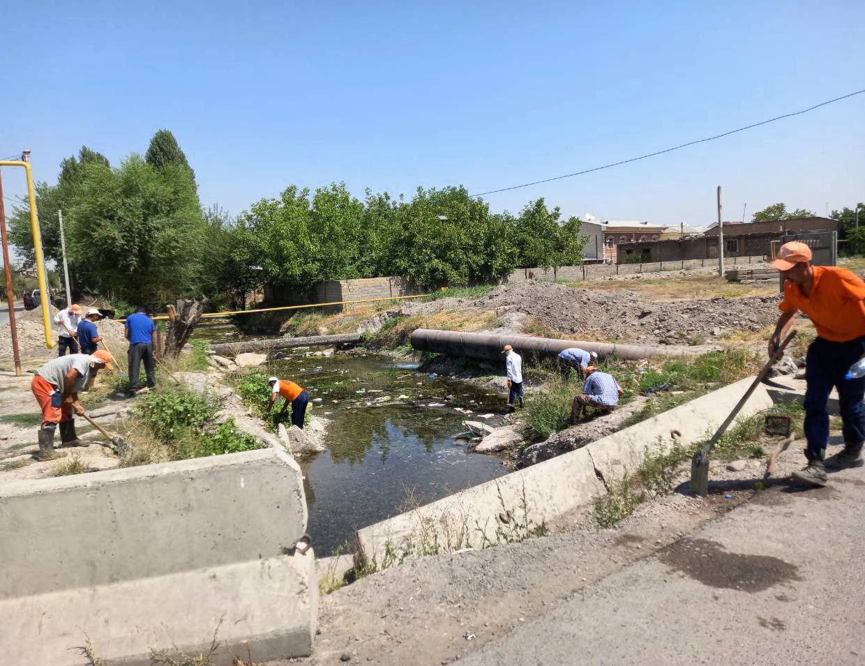 Хокимят опроверг наличие трупов кошек в столичном арыке