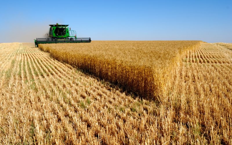 Узбекистан внедрит за корейские средства передовые сельхоз технологии