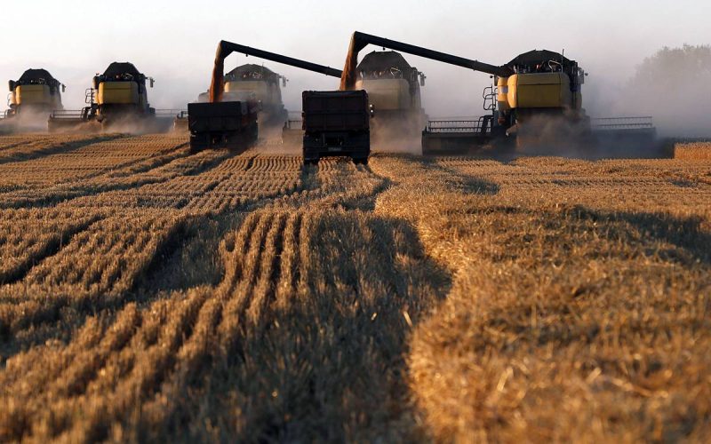 Узбекистан и Испания оценили направления сотрудничества в сельхоз сфере