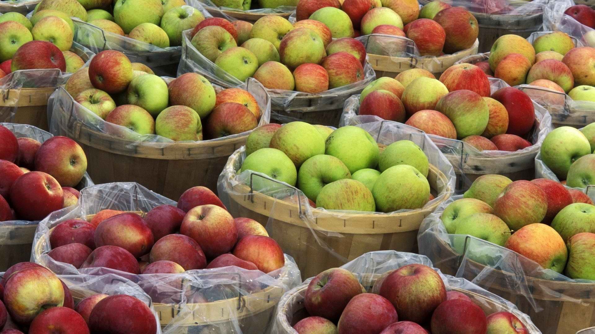 Яблоки упали в цене