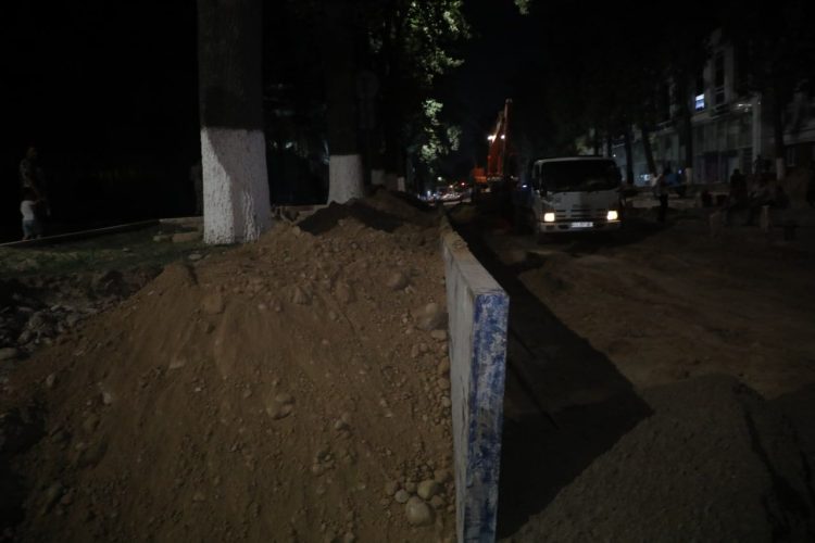 Глава Госкомэкологии ночью проверил поврежденные деревья на улице Чиланзар