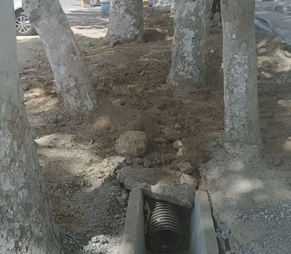 В Ташкенте на еще одной улице повредили корни деревьев