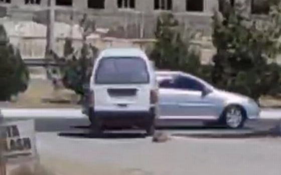 В Зарафшане водитель Damas привязал щенка к автомобилю и протащил по улицам города
