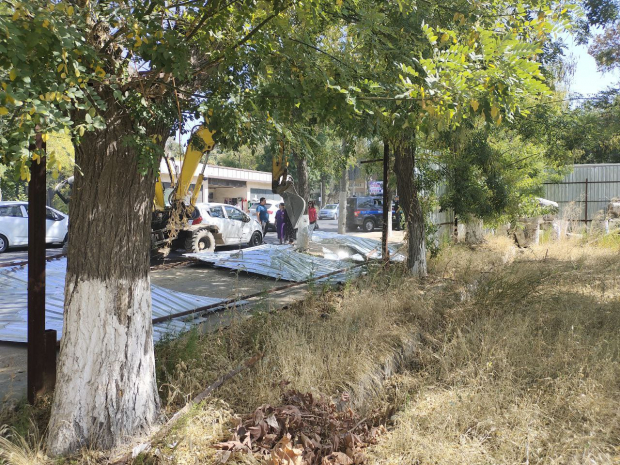 В Ташкенте строительная компания повредила деревья на 425 миллионов сумов