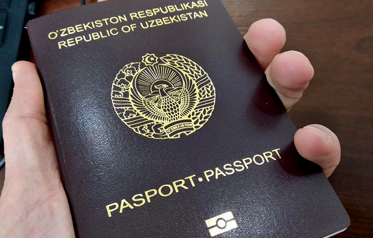 В России у почти 20 узбекистанцев отобрали паспорта и заставили работать в лесу