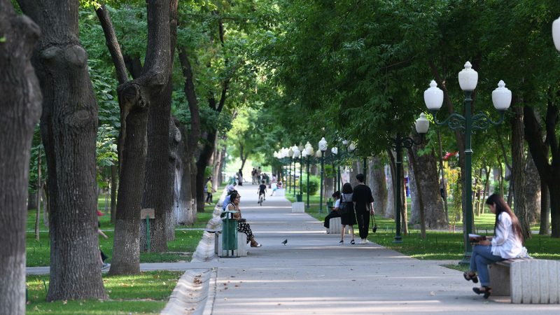 В Узбекистане определились, какими должны быть «зеленые парки»