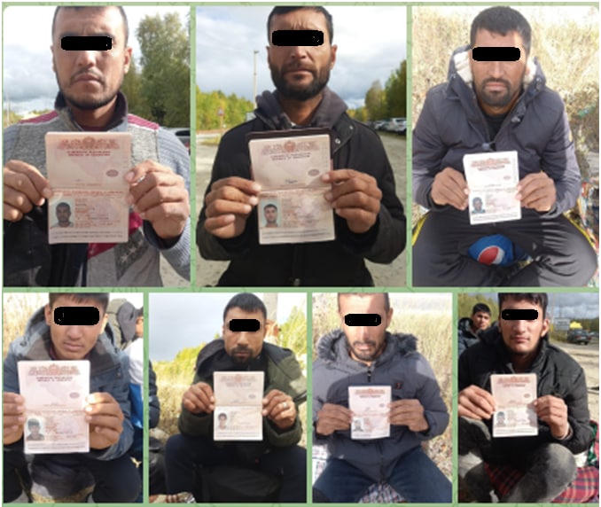 В России у почти 20 узбекистанцев отобрали паспорта и заставили работать в лесу