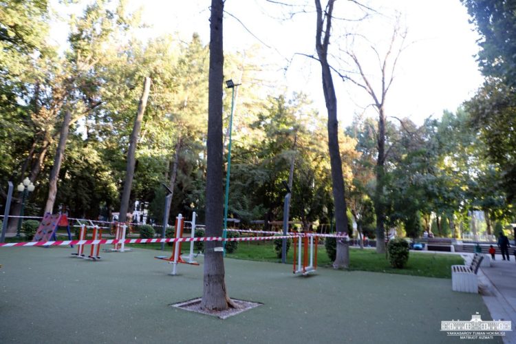 В парке Голубые купола вырубят высохшие деревья