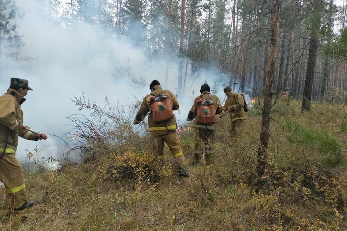 Мирзиёев предложил Казахстану помощи в ликвидации последствий лесных пожаров
