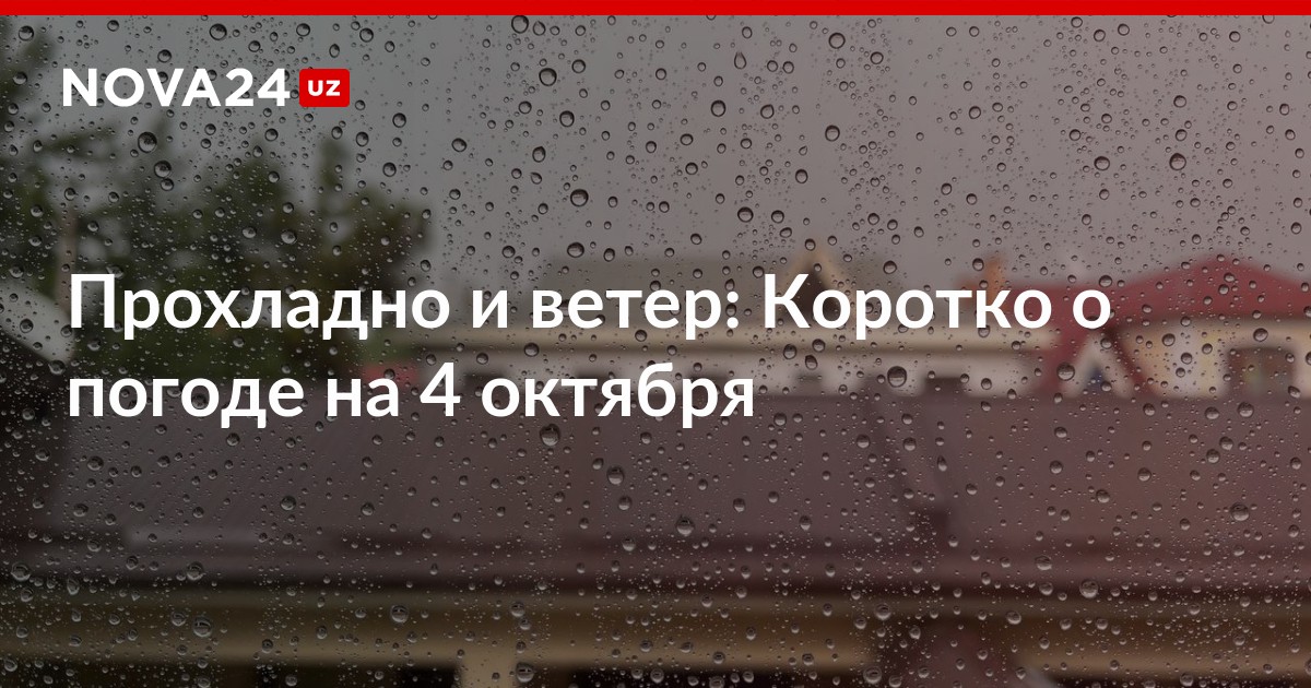 Короче ветер. Коротко о погоде. Погода сегодня дождь будет 4 октября. Прохладная но не дождливая погода.