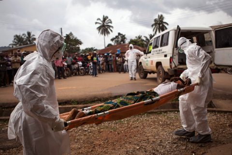 В ВОЗ обеспокоились возможностью эпидемии Эболы