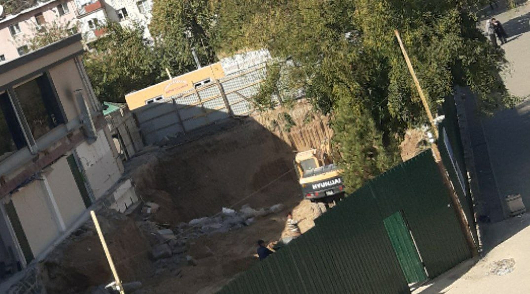 В Ташкенте вновь заметили повреждение деревьев