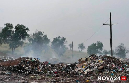 Сенаторы раскритиковали ответственных за мусорные полигоны