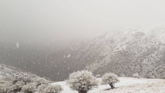 В горах Заамина выпал снег