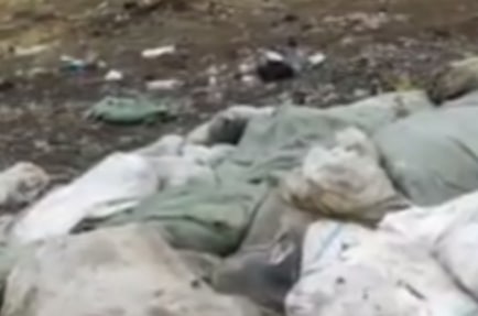 В Ташобласти неизвестные выкинули десятки мешков с мертвыми курами