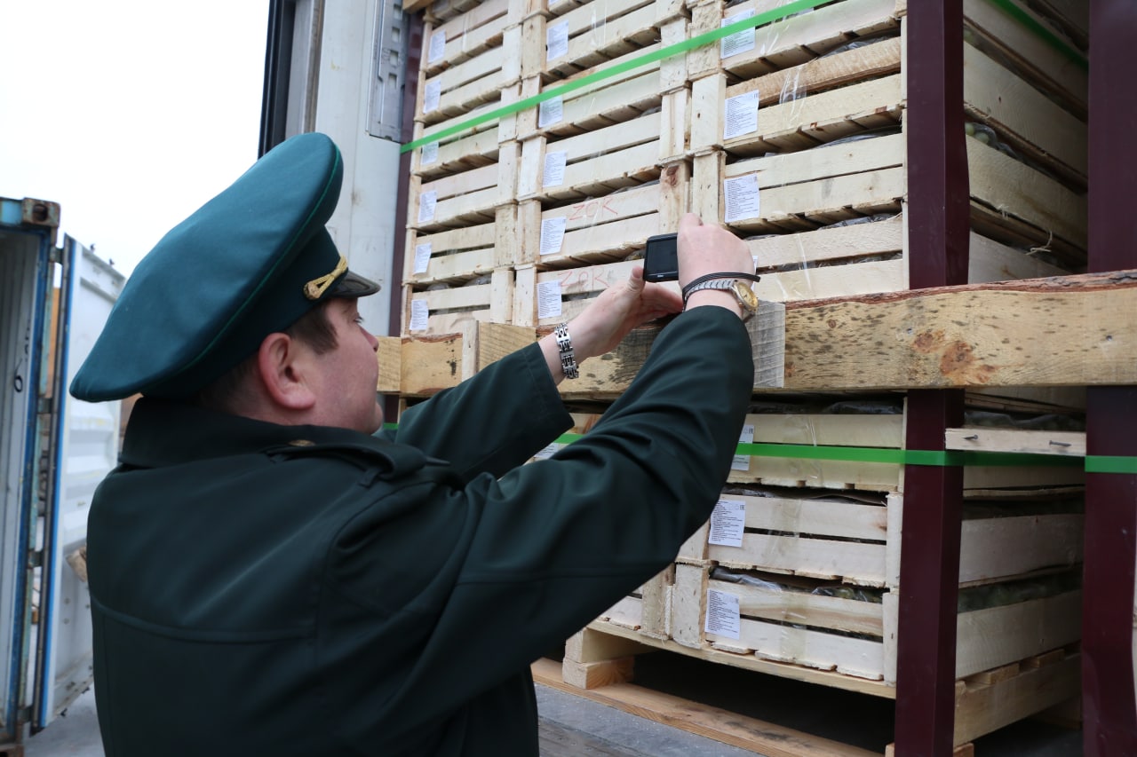 В Узбекистане стали больше выявлять контрабанду наркотиков