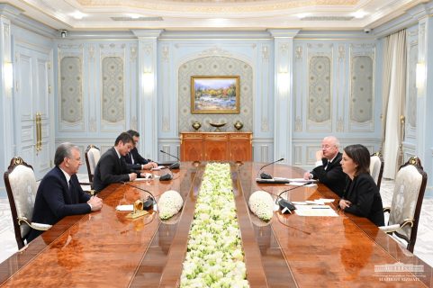 Узбекистан и Германия обсудили сотрудничество по нескольким направлениям