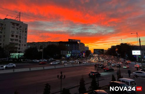 Прокуратура рассказала о законности на улицах Ташкента