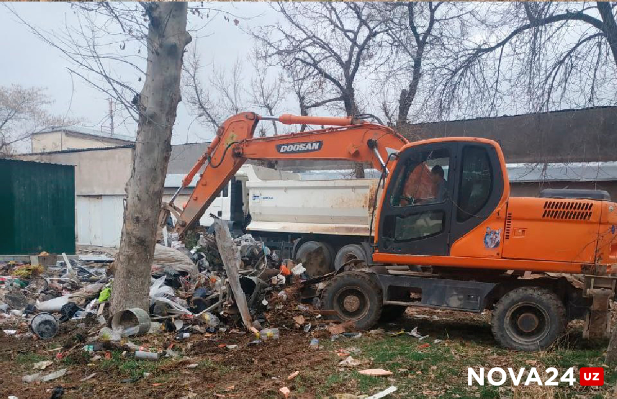В Ташкенте «под носом» у жителей срубили десятки деревьев под будущую стройку