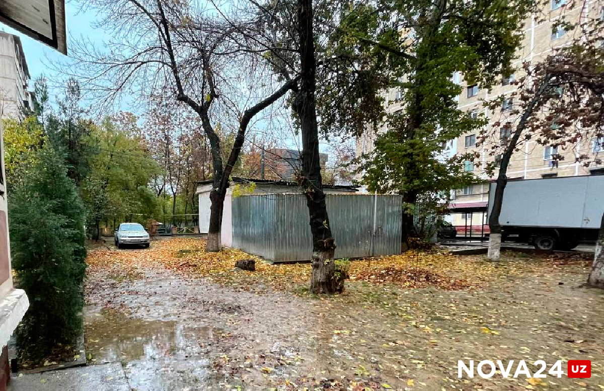 «Нас травят»: В Ташкенте пожаловались на портящую жизнь «мусорку» под окнами