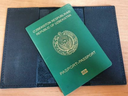 В Узбекистане иностранцы смогут получить гражданство в упрощенном порядке