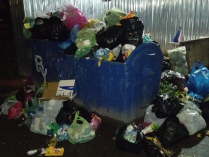 «Нас травят»: В Ташкенте пожаловались на портящую жизнь «мусорку» под окнами