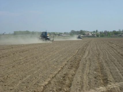 В Узбекистане деградировано более 70 процентов земельных площадей