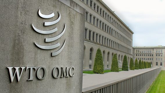 Гендиректор ВТО поможет Узбекистану вступит в организацию