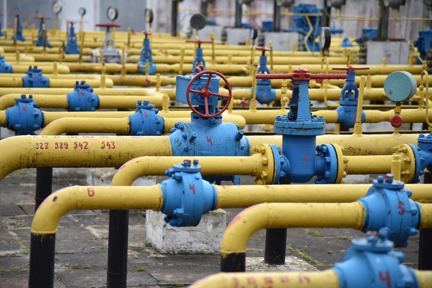 Узбекистан отказался от «газового союза», предложенного Путиным