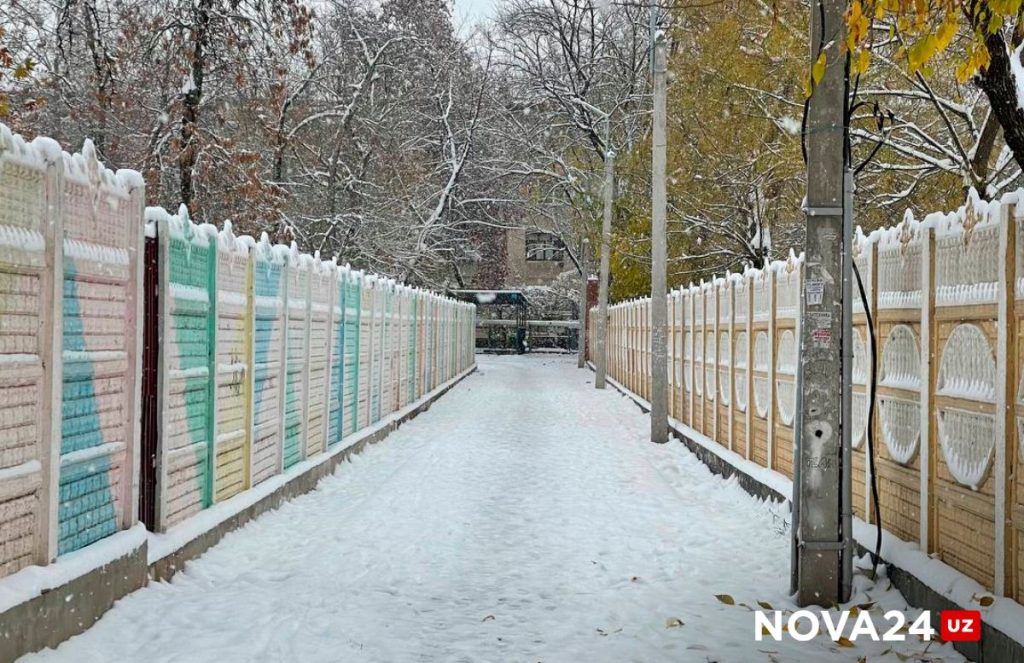 Ташкент покрыло снегом — фоторепортаж