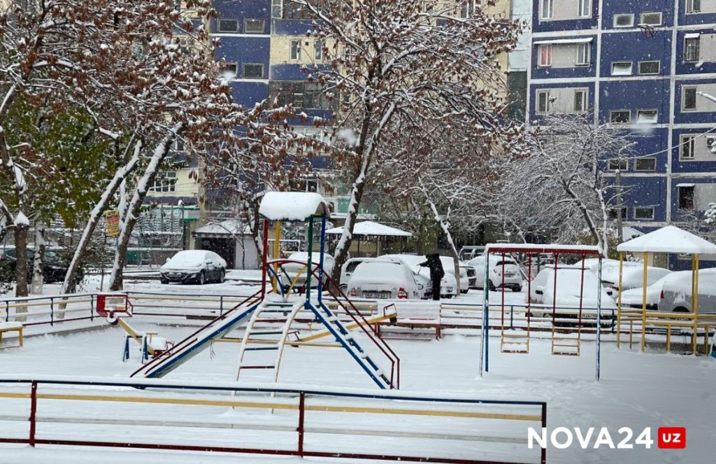 Ташкент покрыло снегом — фоторепортаж