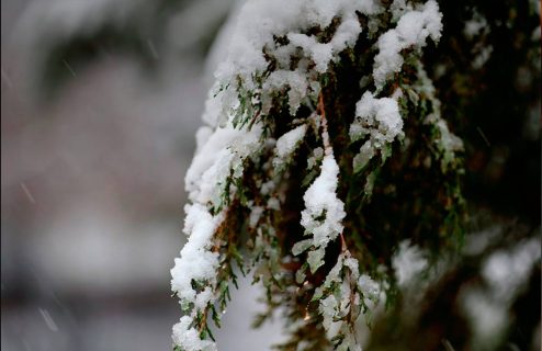 Похолодание и снег: Коротко о погоде на 4 декабря