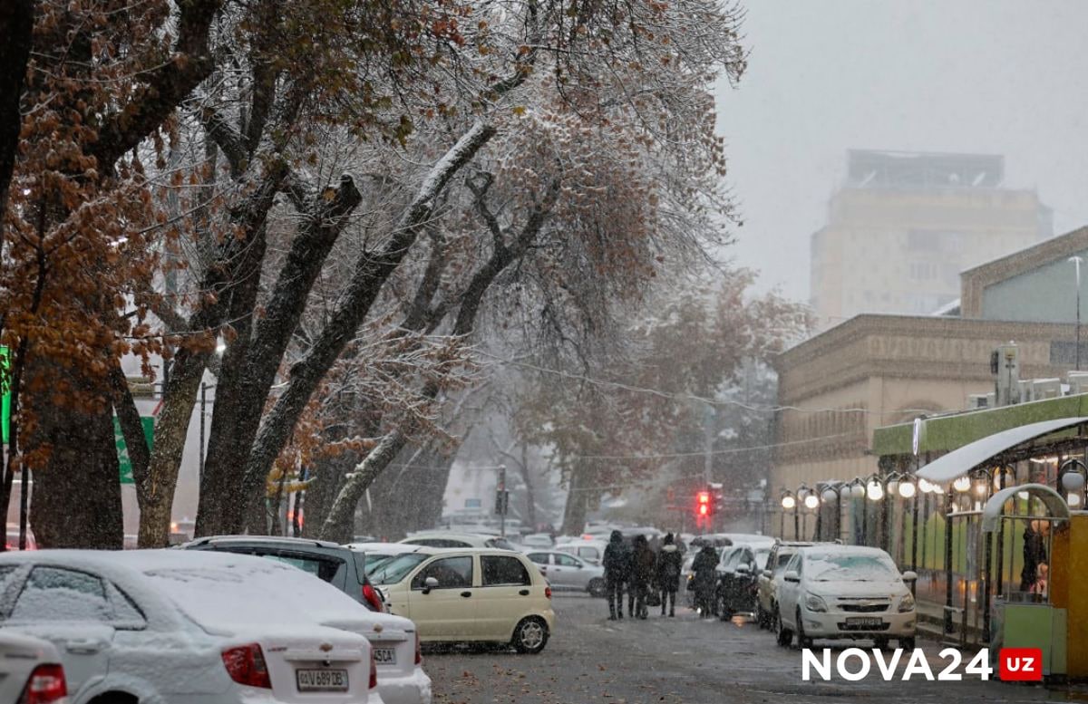 Морозы и осадки: Синоптики рассказали, как погода будет в декабре