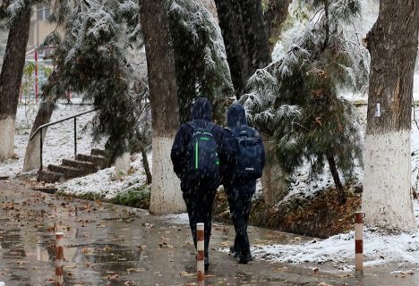 Похолодание и снег: Коротко о погоде на 9 декабря