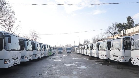 В Ташкенте для поддержки работы автобусов привлекли десятки Isuzu