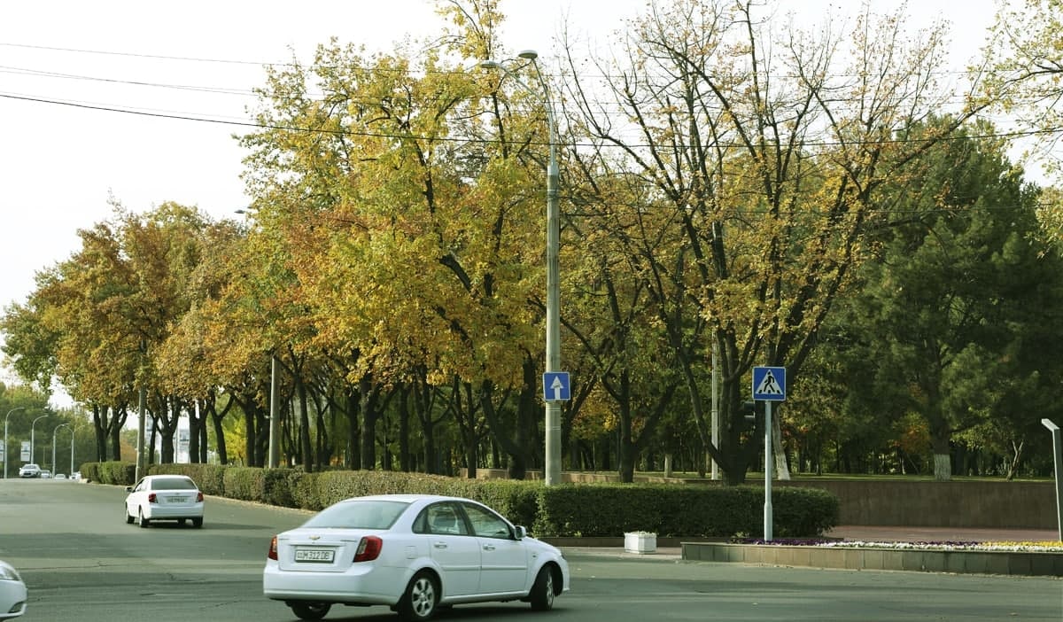 Урбанист раскритиковал идею автобусных полос в Ташкенте