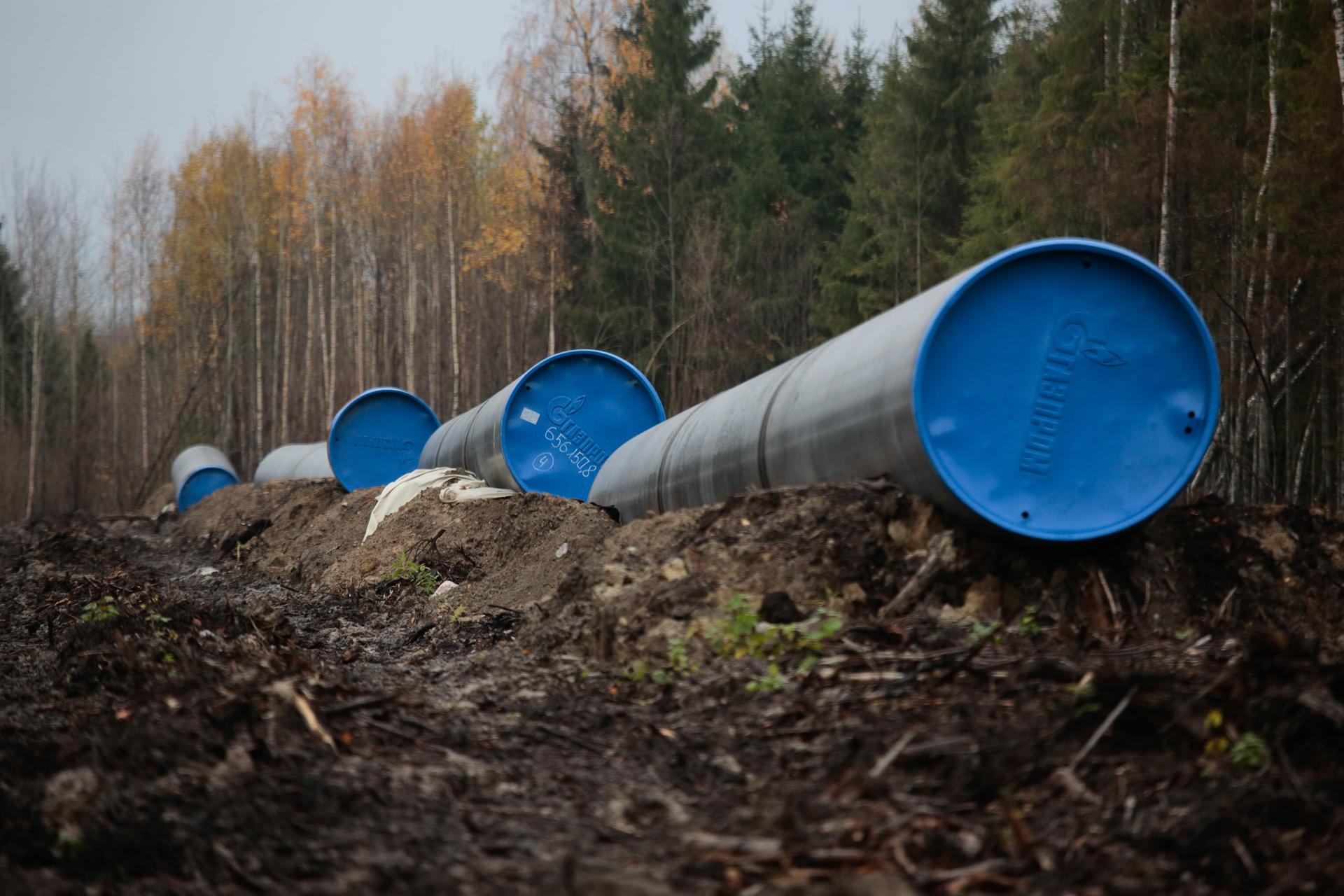 Выяснилось, когда Россия начнет поставлять Узбекистану газ в рамках сотрудничества с «Газпромом»