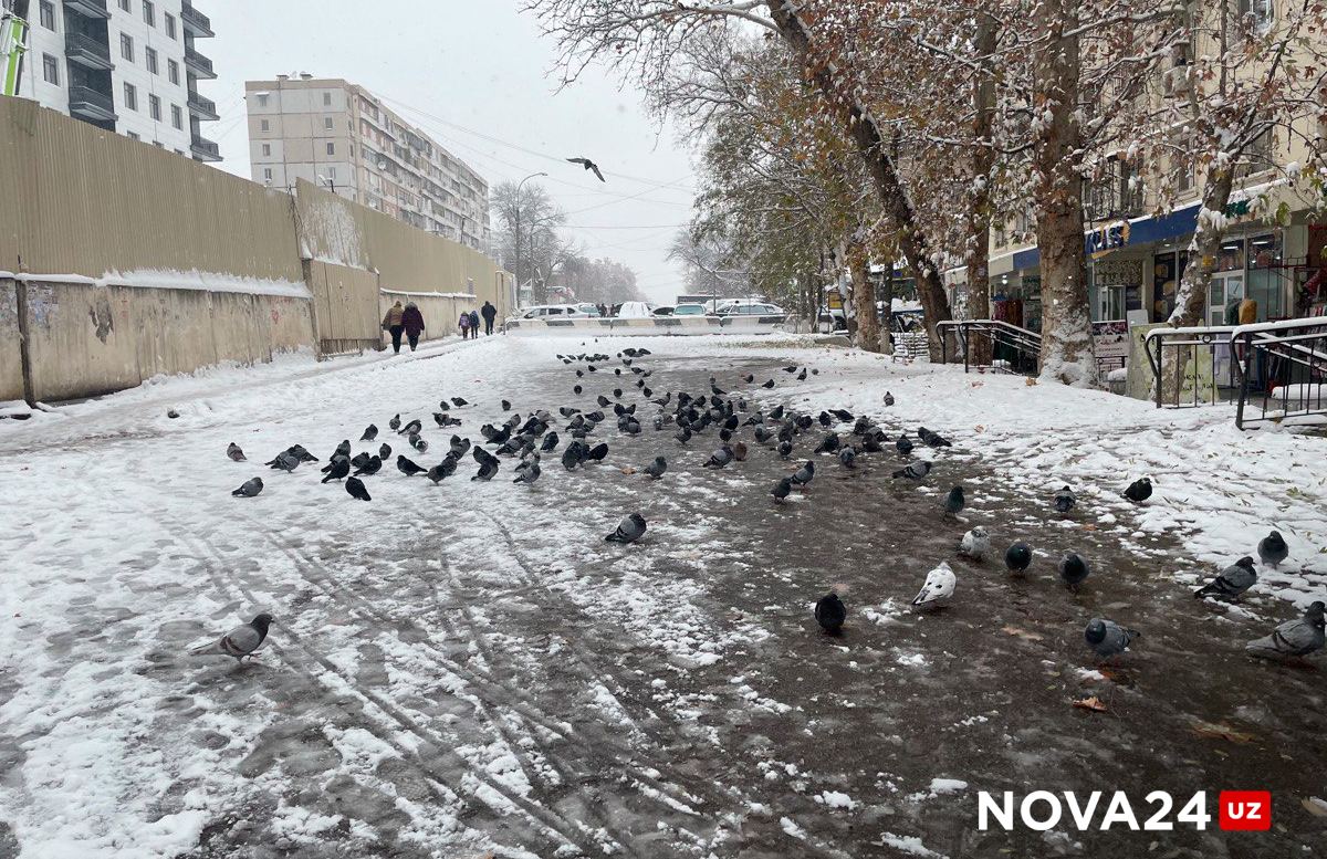 Мокро и ветрено: Коротко о погоде на 3 января