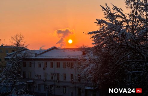 Холод в Ташкенте обновил полувековой рекорд