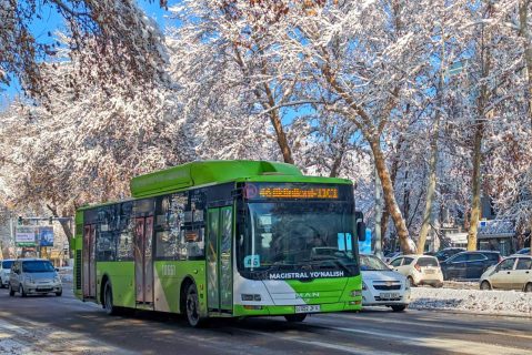 В Ташкенте из-за холодов замерзли двигатели новых автобусов