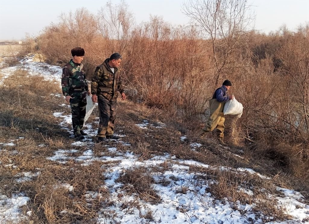 По всему Узбекистану начали подкармливать диких животных