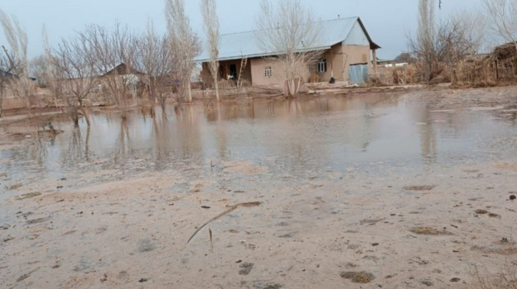 В Каракалпакстане затопило несколько частных домов